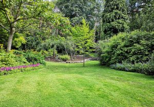 Optimiser l'expérience du jardin à Bergeres